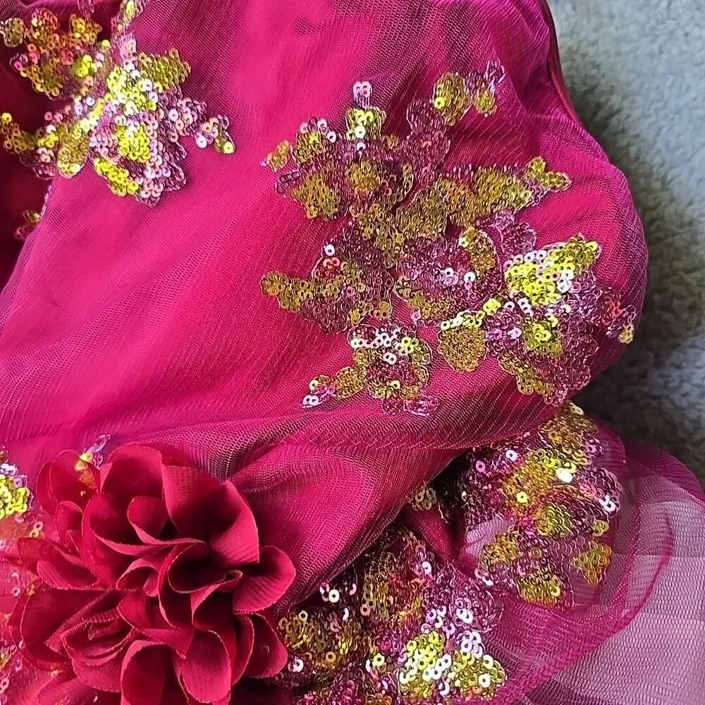 Ballet Dance Fairy Costume Revolution Fucia Maroon Large Child Gold Pink Sequens